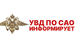 Полицейские столичного района Коптево задержали мужчину за кражу чилийской белки из зоомагазина
